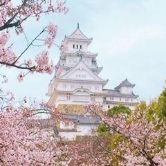 프로필