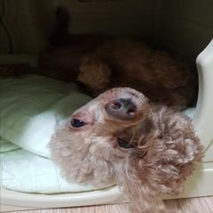프로필