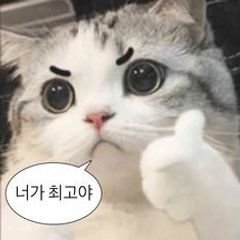 프로필