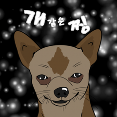 프로필