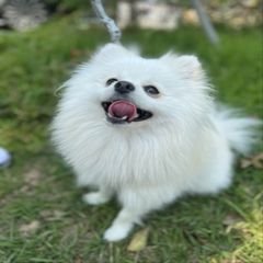 프로필