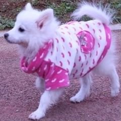 프로필