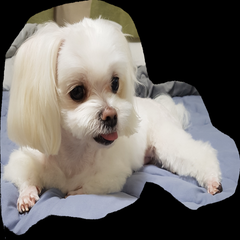 프로필