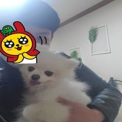 프로필