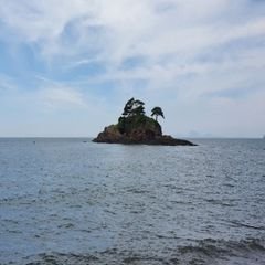 프로필