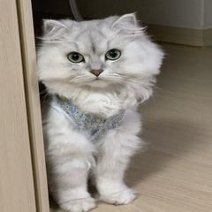 프로필
