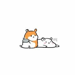 프로필