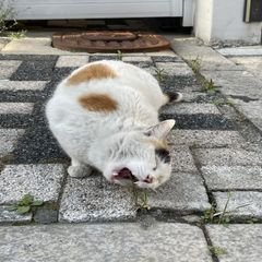 프로필