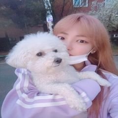 프로필