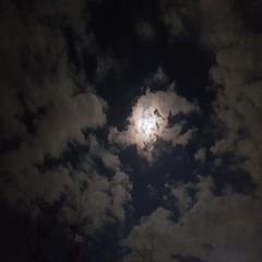 프로필