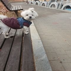 프로필