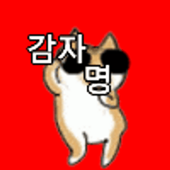 프로필