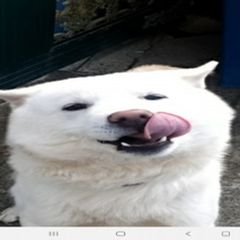 프로필