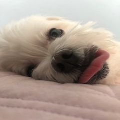 프로필