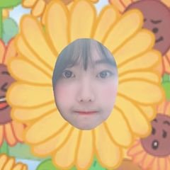 프로필