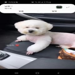 프로필