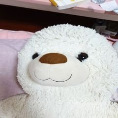 프로필