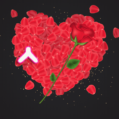 프로필