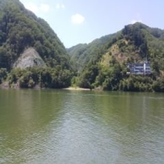 프로필