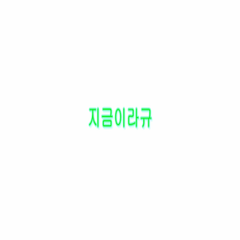 프로필