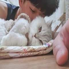프로필