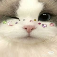 프로필
