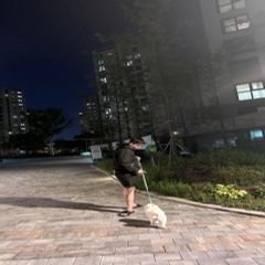 프로필