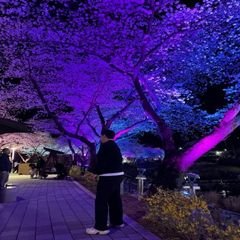 프로필