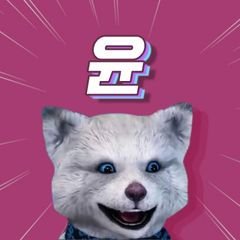 프로필