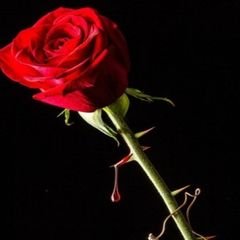 프로필
