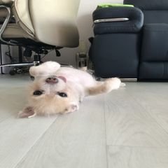 프로필