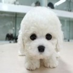 프로필