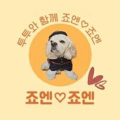 프로필