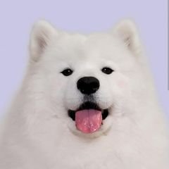 프로필