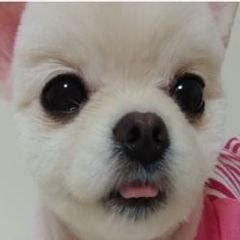 프로필