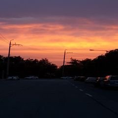 프로필