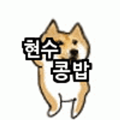 프로필