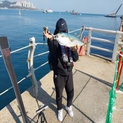 프로필