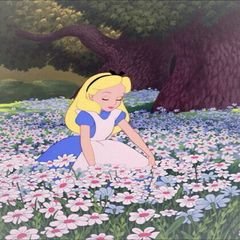 프로필