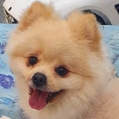 프로필