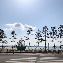 프로필