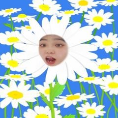 프로필