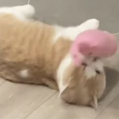 프로필