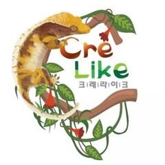 프로필