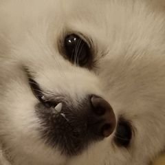프로필