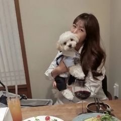 프로필