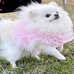 프로필