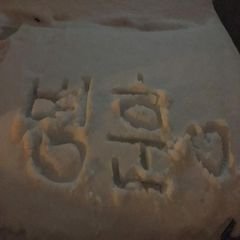프로필