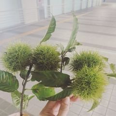 프로필