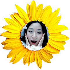 프로필